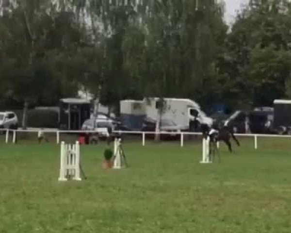 Video von Corinna 116