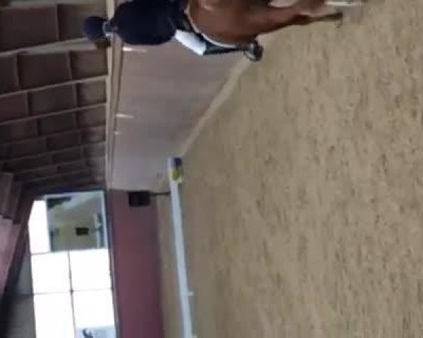 Video von Janosh 21