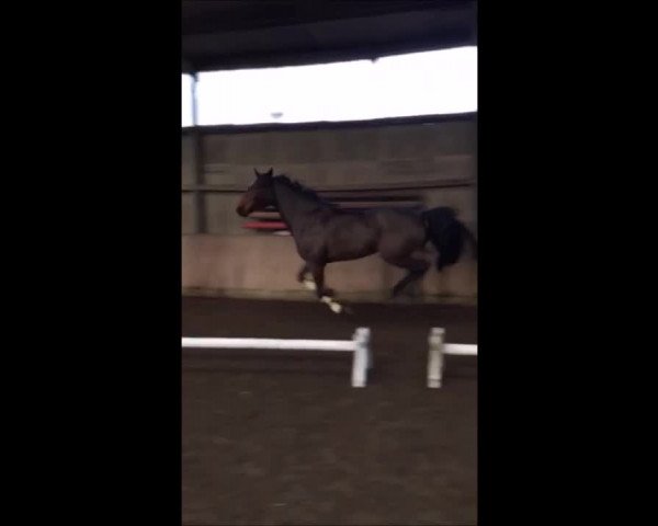 Video of Call me Cormii