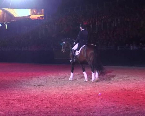 Video of Franziskus FRH, Formel Eins 11