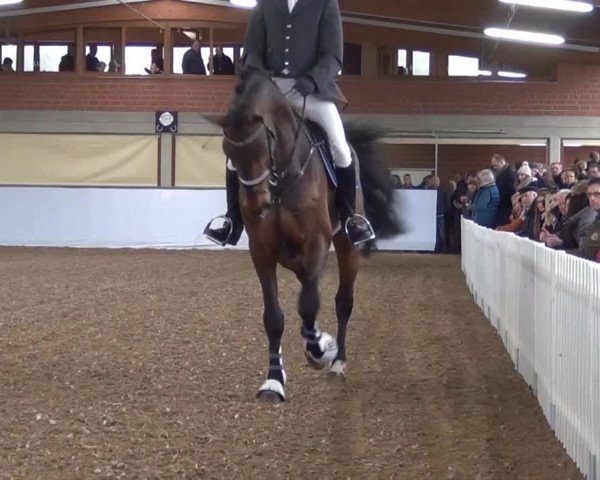 Video of Nubalou W.Z.