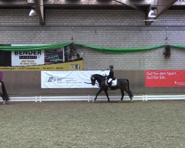 Hallenturnier Leverkusen-Rheindorf 2015