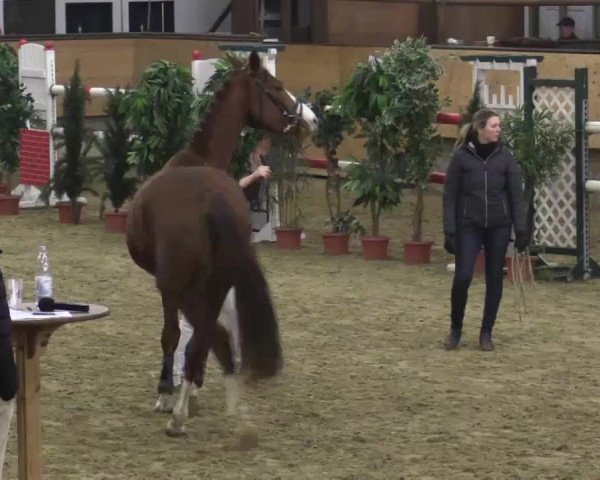 Video von La Fayette 48