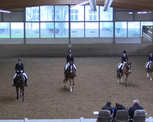 Hallen-Dressur- und Springturnier Iserlohn 2015