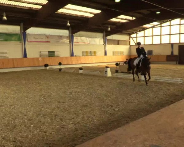 Eröffnung der grünen Saison Bottrop 2015