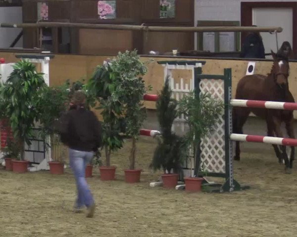 Video von Chloe'La Belle