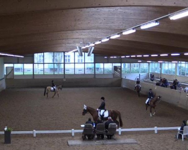Hallen-Dressur- und Springturnier Iserlohn 2015