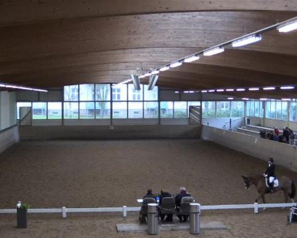 Hallen-Dressur- und Springturnier Iserlohn 2015