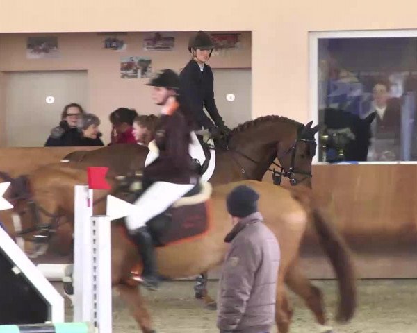 Springturnier Dettingen Late Entry 2015