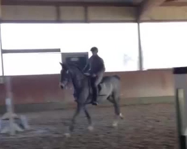 Video di Clintall