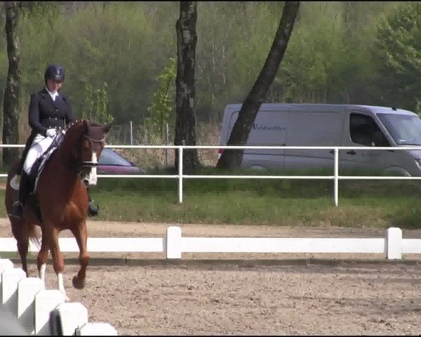 Großes Reit- und Springturnier Heiden 2015