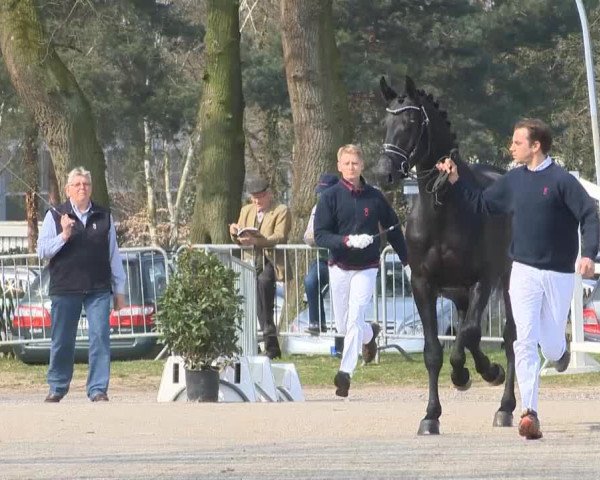 Video von Sky Amour