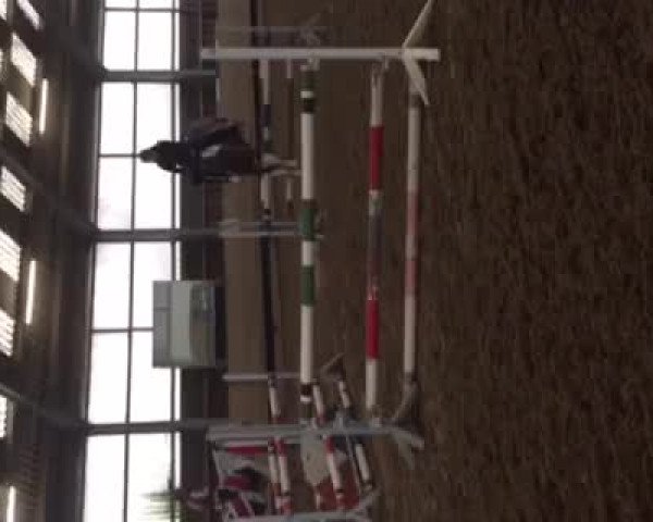 Video von Don Tobiano