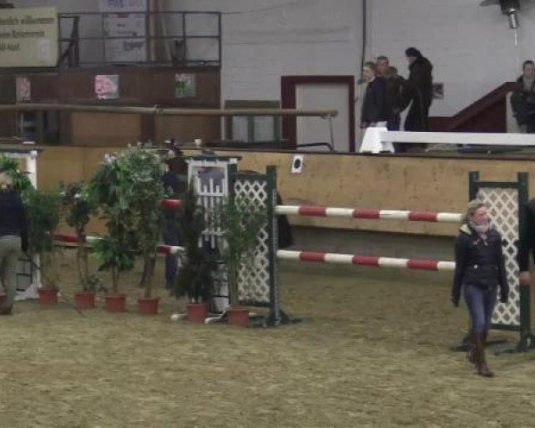 Freispringwettbewerb 06.03.2015 Alt-Marl