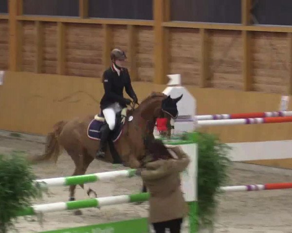 Hallenspringturnier Xanten - Reitanlage Miß 2015