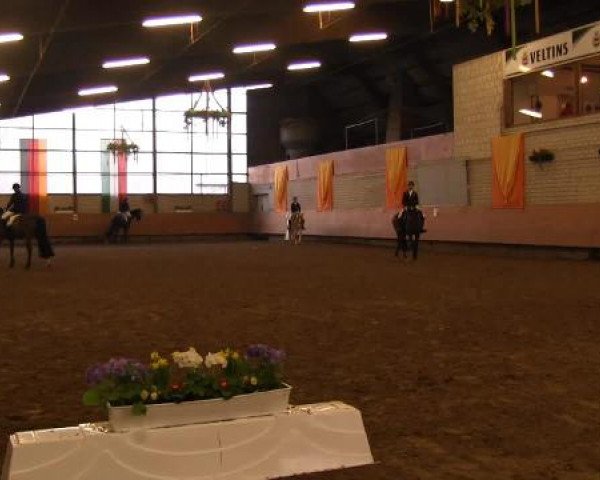 Hallenturnier Hellefeld 2015