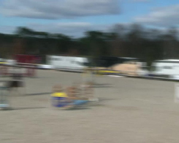 Video of Ciao Conni St