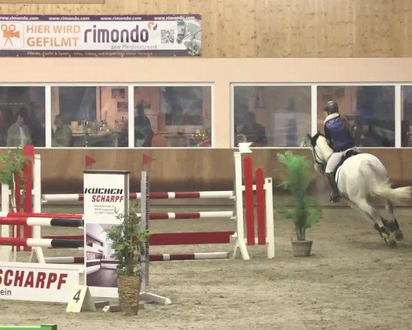 Late Entry Springen Dettingen 2015