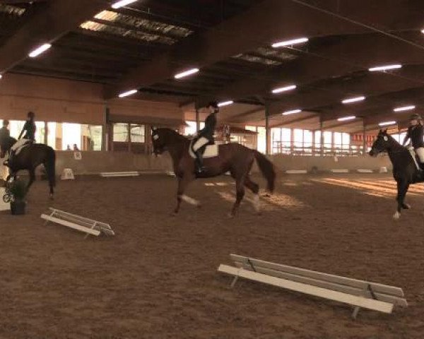17. Hallen-Reit- und Springturnier Lembeck