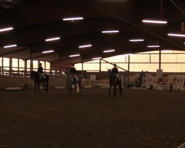 17. Hallen-Reit- und Springturnier Lembeck