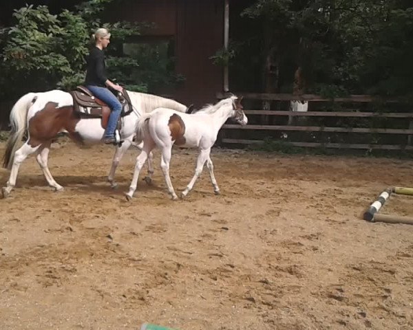 Video of A Special Bella