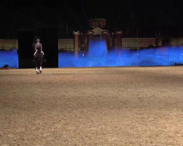Hengstschau Equitana 2015