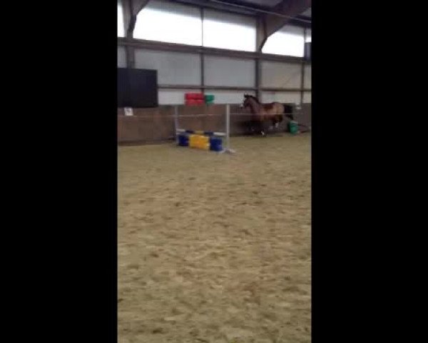 Video von Alvin
