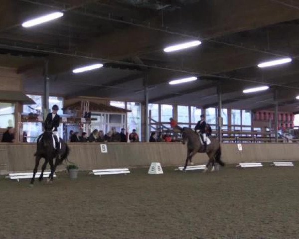 17. Hallen-Reit- und Springturnier Lembeck