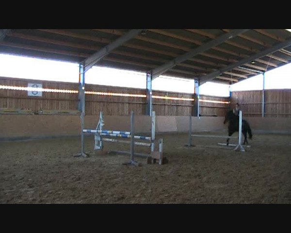 Video of Boso 2