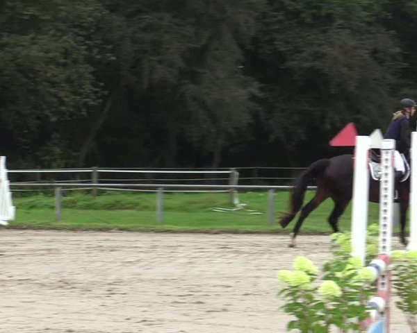 Reitturnier Haltern am See 2021