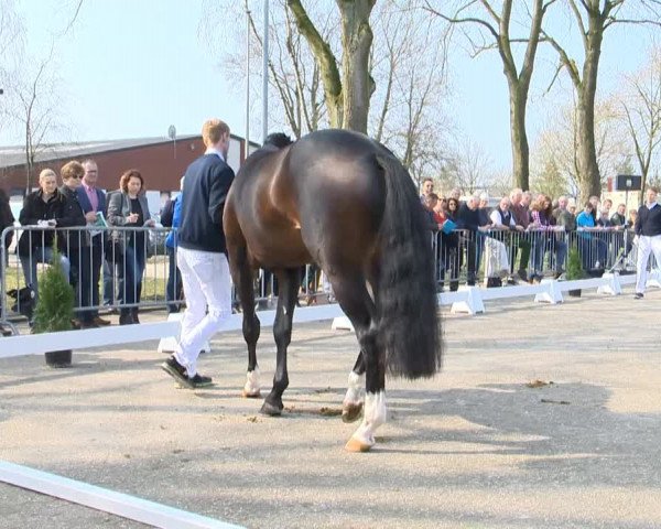 Video di Boreas Frf