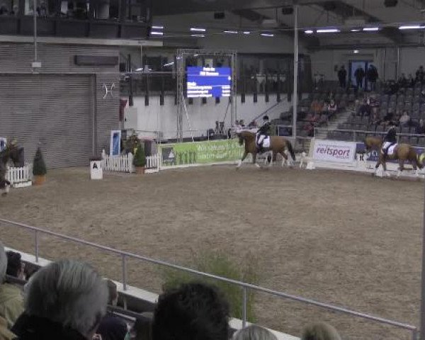 VER-Dinale 2015