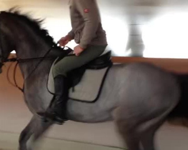 Video di Clintall