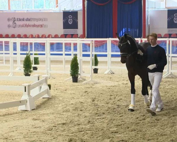 Video di Boreas Frf