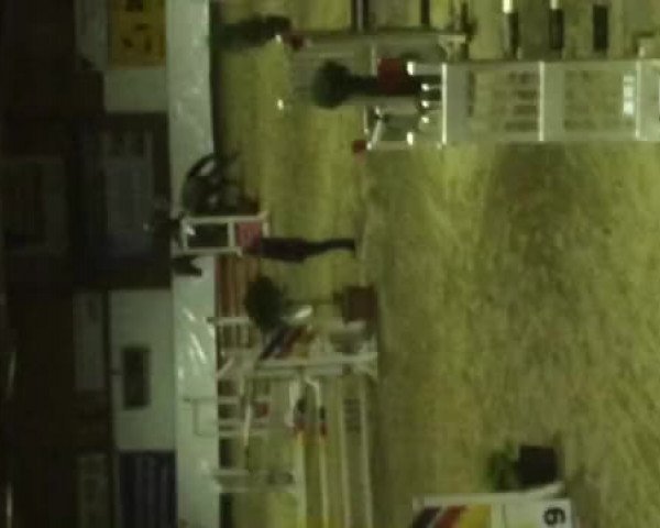 Video of Captain Quinci