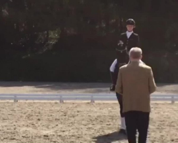 Video of Dahlhoff