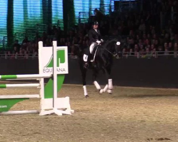 Hengstschau Equitana 2015