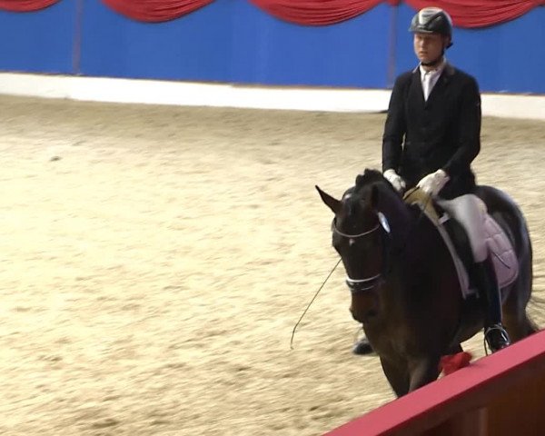 Video di Boreas Frf