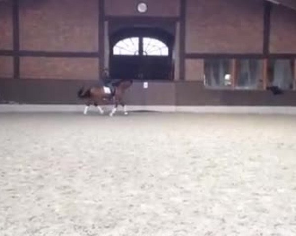 Video of All Or Nothing