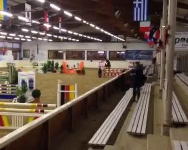 Video of Coco Chello