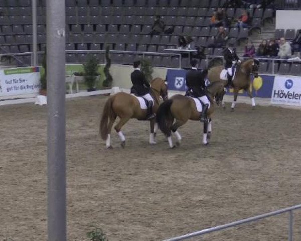 VER-Dinale 2015