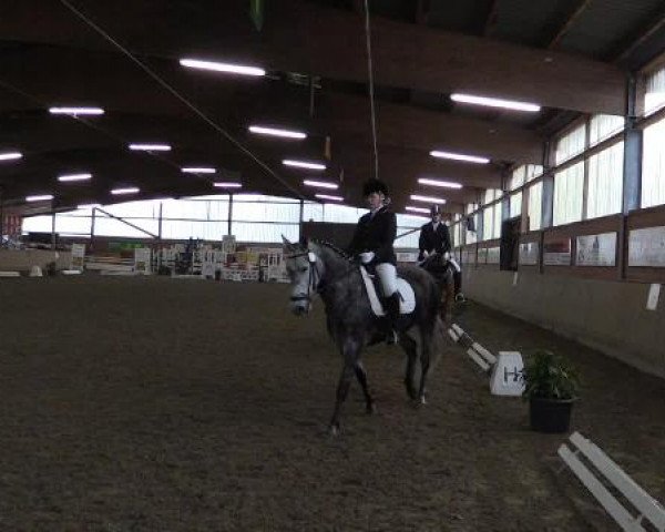 17. Hallen-Reit- und Springturnier Lembeck