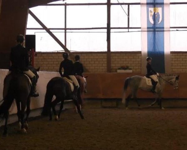 Hallenturnier Hellefeld 2015