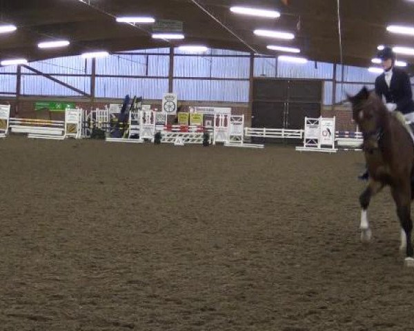 17. Hallen-Reit- und Springturnier Lembeck