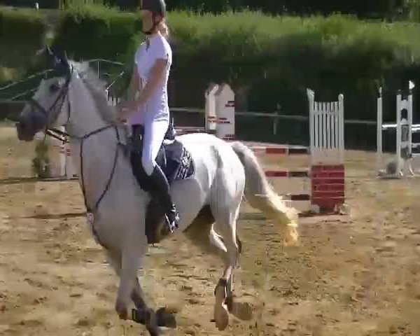 Video of Corelli's Harmony