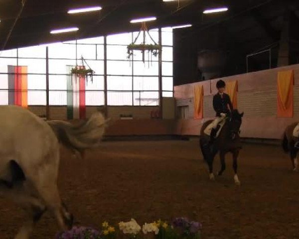 Hallenturnier Hellefeld 2015