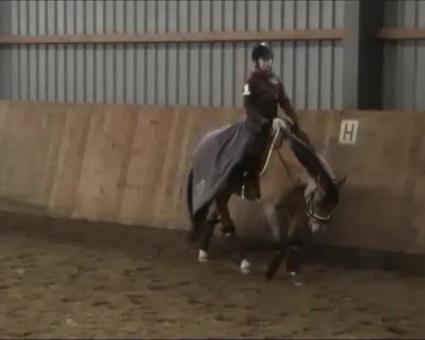 Video of Desperados