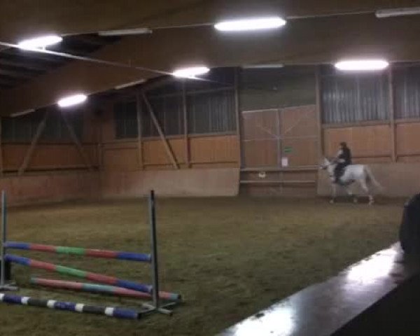 Video of Corelli's Harmony