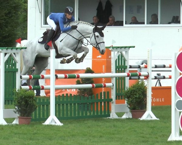 jumper Celista 2 (Oldenburg show jumper, 2008, from Cellestial)