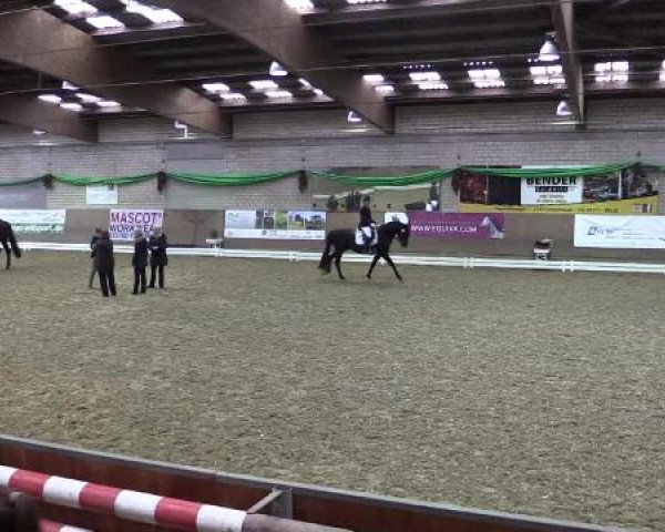 Hallenturnier Leverkusen-Rheindorf 2015